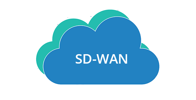 強大的SD-WAN有何特征？.png